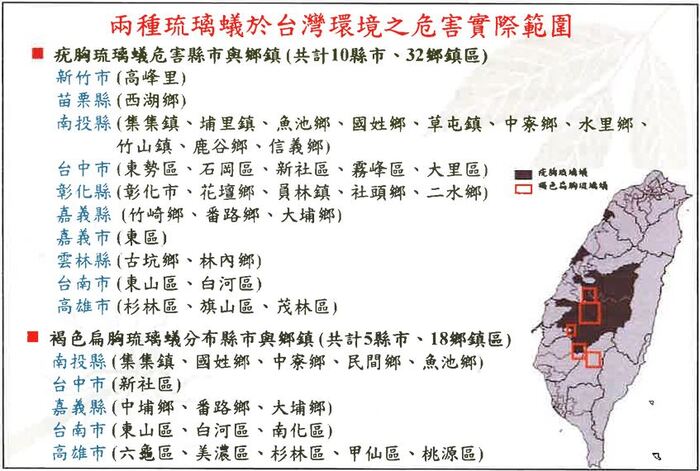蟻害宣導