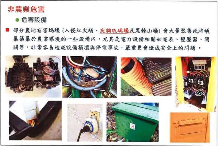 蟻害宣導